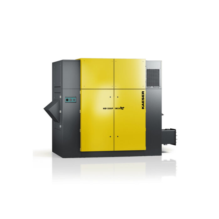 Rotary lobe blowers up to 250 kW