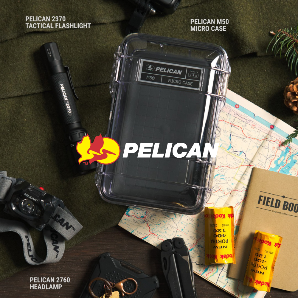 Pelican